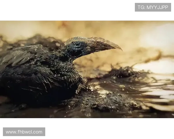 约纳坦-塔：持续饥饿感驱动我们渴望胜利与超越永不满足的精神